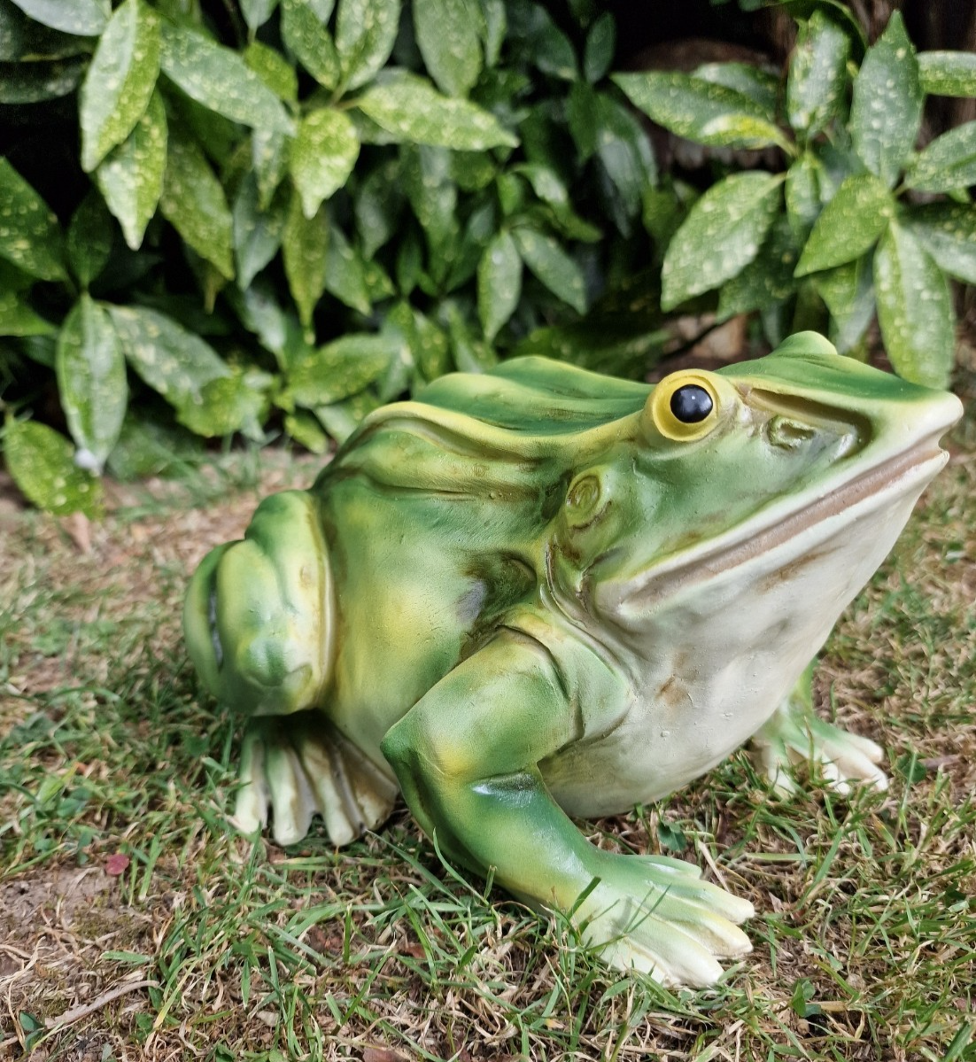 Large Frog/ Toad Outdoor Ornament - Frog Garden - Pond Decor Statue Decoration