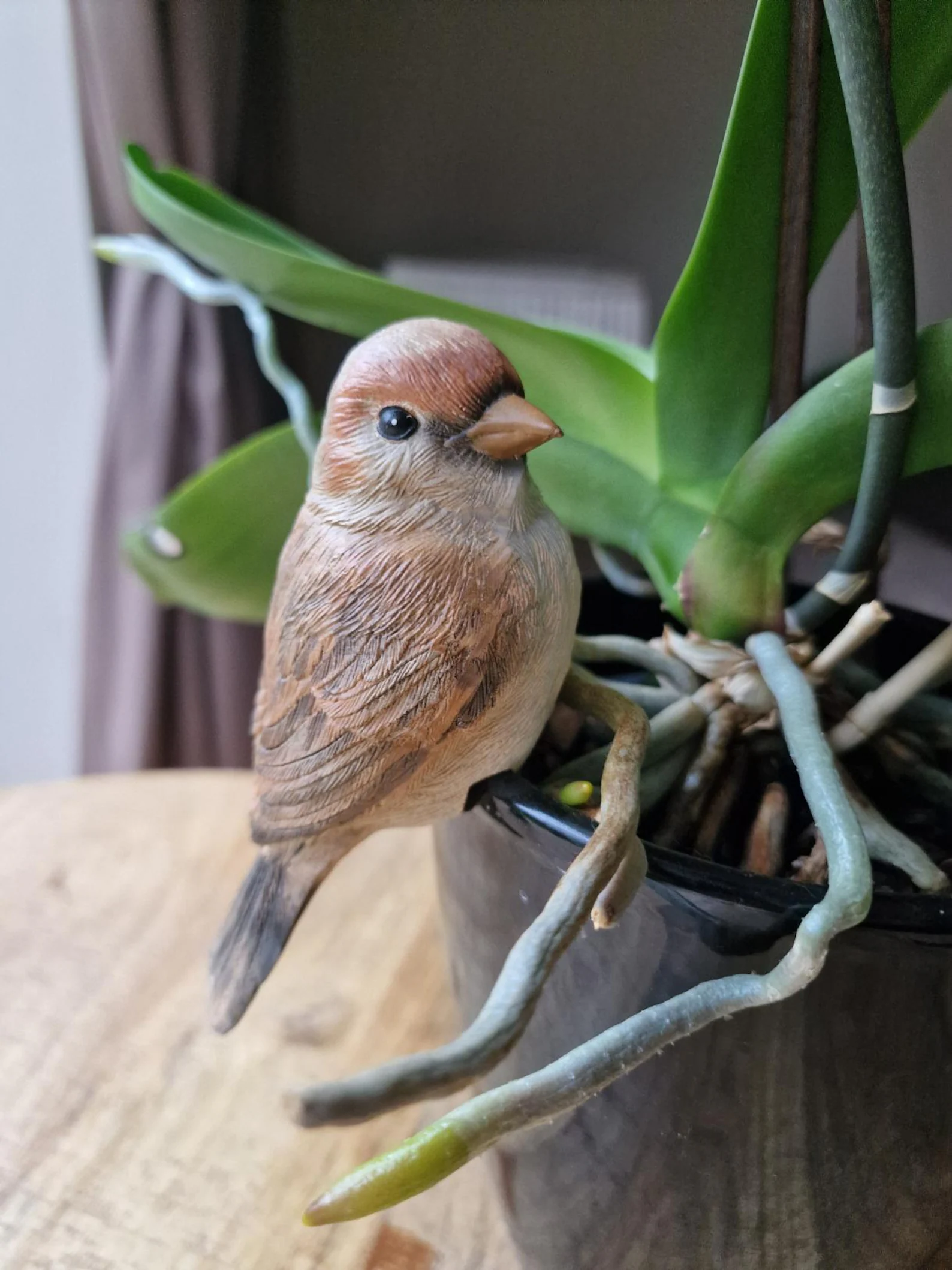 Sparrow Pot Hanger - Image 2