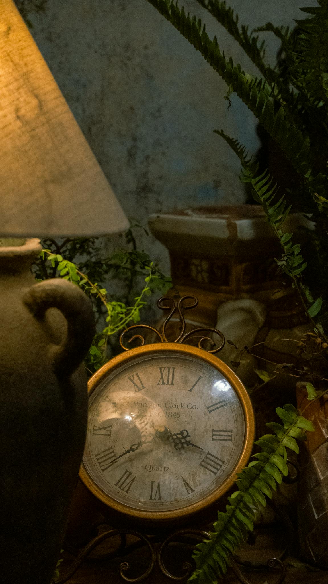 Vintage clock on a rustic table with a warm lamp and lush ferns.
